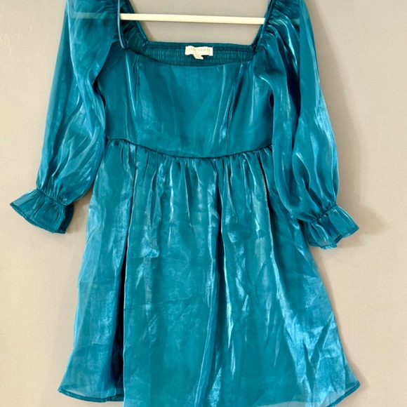 Thirty Thirty Sheen Sheer Puff Long Sleeve Mini Dress Small - Picture 3 of 5